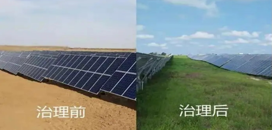 1688628462113033578.jpg